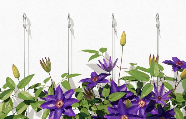 Afbeelding - https-www-ez-catalog-nl-Asset-89998ec61d6f4871a8f02eb5c917ffbb-ImageFullSize-w1-a-i-04-224-geruest-rankgitter-sall-aqq-v1-jpg